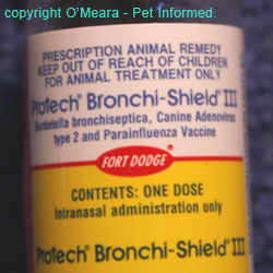 An example of an intranasal vaccine product that protects against Bordetella, parainfluenza and adenovirus (kennel cough)