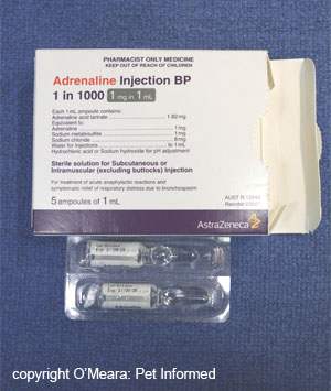 Adrenaline can be placed on bleeding wounds to induce local blood vessel constriction and, thereby, reduce haemorrhage.