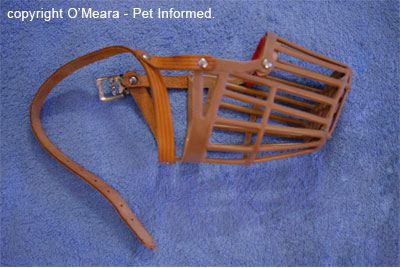 This is a basket muzzle as viewed from the side. It can be placed on a dog's face to prevent rodenticide access.